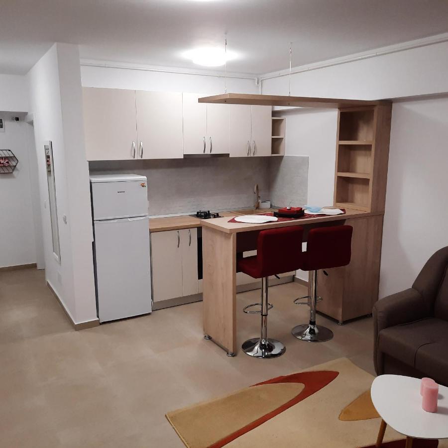 Studio Adela Appartement Iasi Buitenkant foto